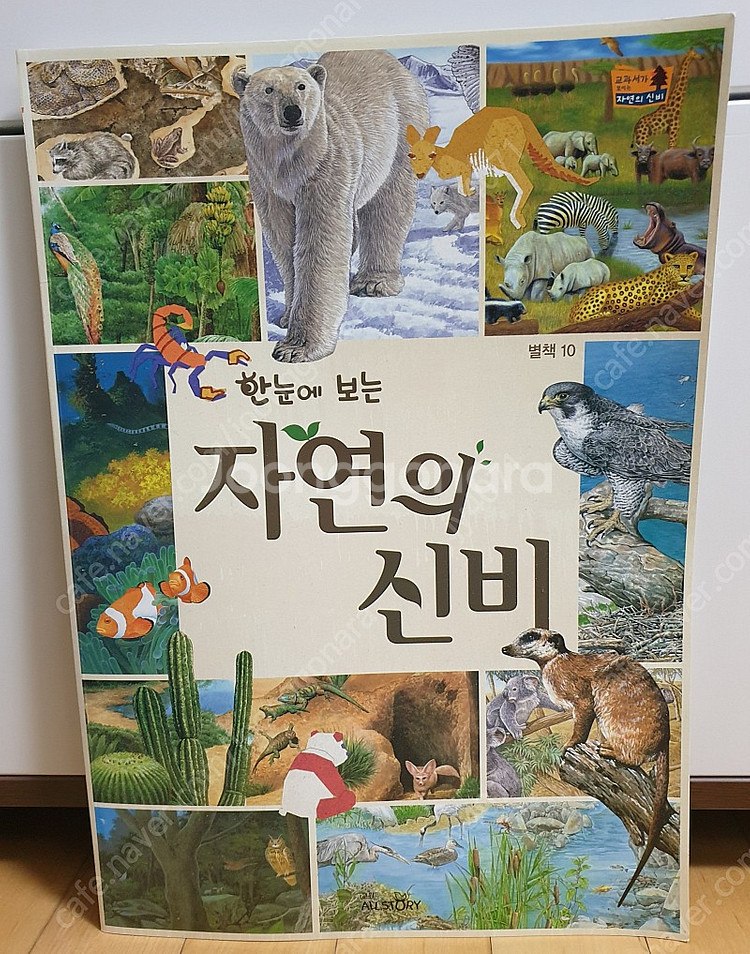 교원 올스토리 - 교과서가 보이는 자연의 신비 (거의 새 책)--4