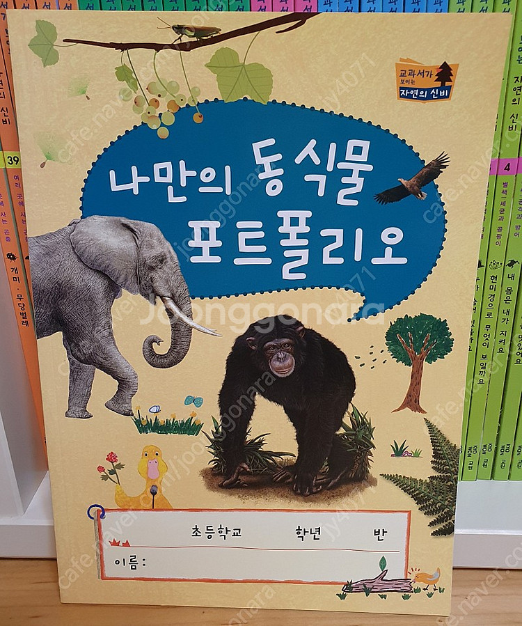 교원 올스토리 - 교과서가 보이는 자연의 신비 (거의 새 책)--5