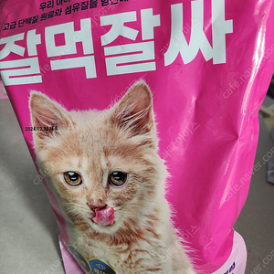 잘먹잘싸 고양이