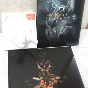 The Gazette 가젯토 최신앨범 MASS 완전생산한정본 , toxic , division, beautiful deformity 팝니다