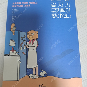 어느날 갑자기 무기력이 찾아왔다 책