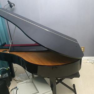 그랜드 디지털 피아노 다이나톤 SGP500