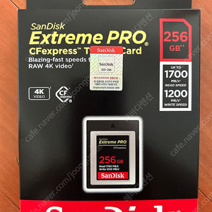 샌디스크 Extreme Pro CFexpress Type B타입 메모리 카드 256G