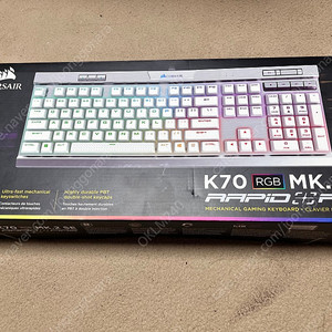 커세어 키보드 CORSAIR K70 RGB MK.2 SE 은축 (풀 윤활)