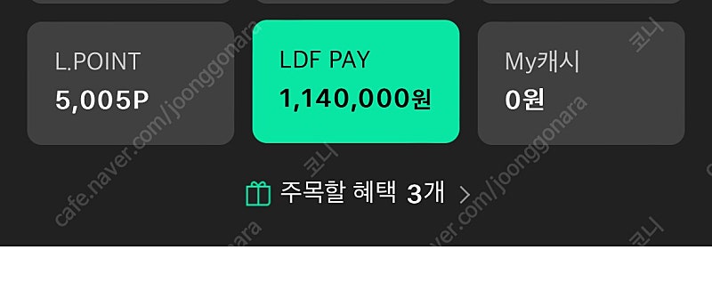 LDF pay 114만원