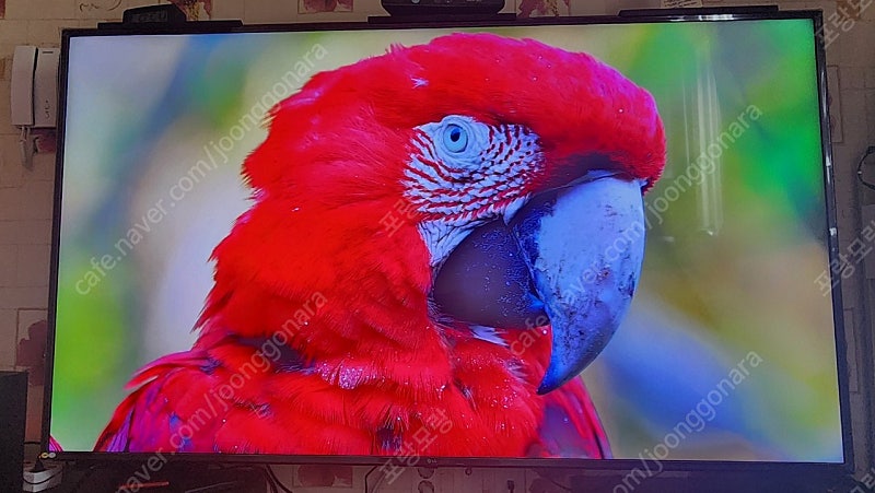 LG UHD 75UP7500KNA [스탠드] 65만원 대구직거래