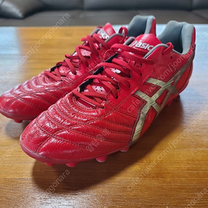 아식스 ASICS DS LIGHT AG 270 [택포 9만원]