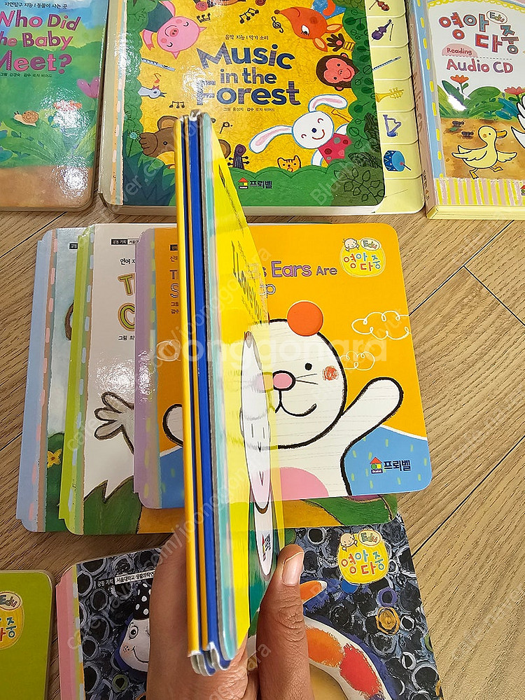 프뢰벨 영아다중 영어버전 전구성 상태 아주좋음--4