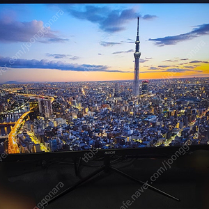 최대 165hz LED 24인치형 게이밍 모니터 N248E 팝니다