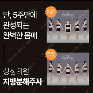 부산상상의원 지방분해 4부위 7회 양도