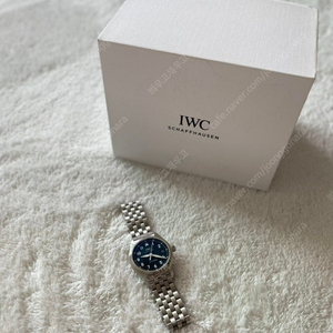 iwc 파일럿 36 검판