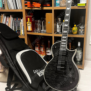 ESP LTD EC-1000 PIEZO 일렉기타 판매