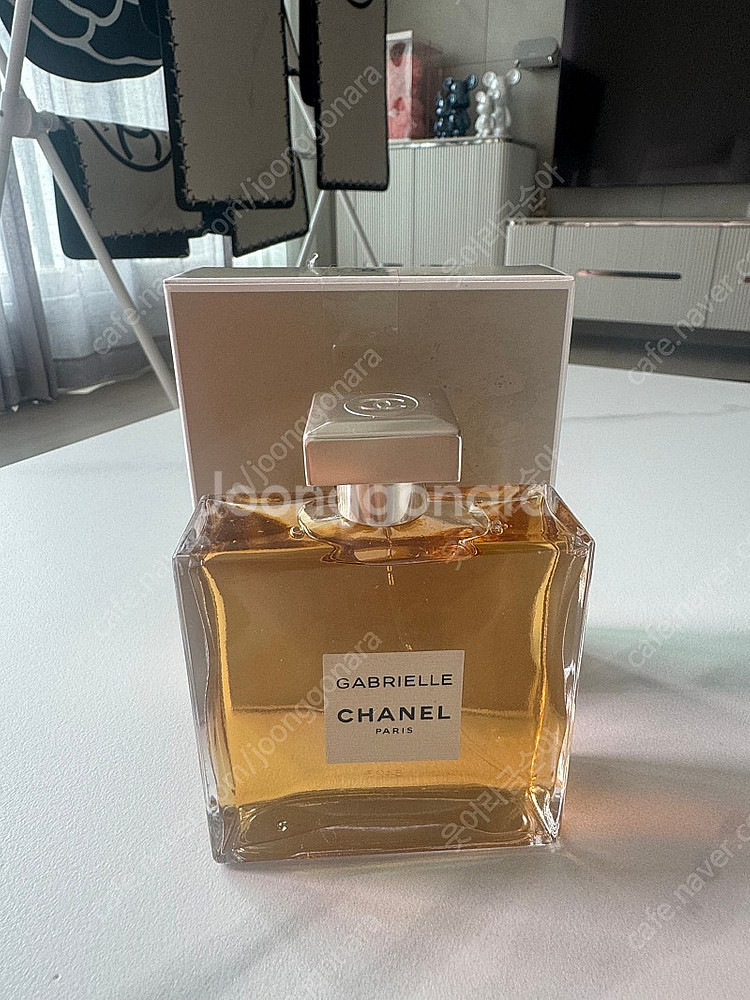 가브리엘 샤넬 오 드 빠르펭 100ml--0