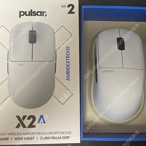 펄사 x2a 미디움 pulsar 왼손 양손 x2v2