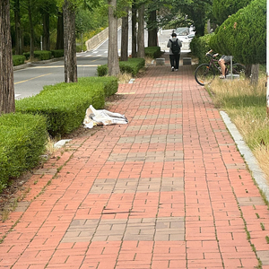 롯데렌터카 무료이용권 판매합니다