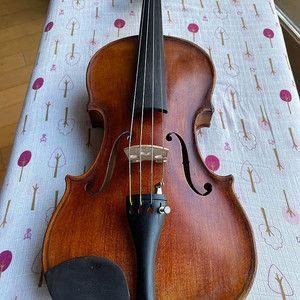 바이올린 1/2 사이즈 전공용 팝니다. ( 판매를 위해 공방에서 깨끗하게 손봤습니다.)