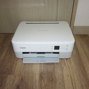 캐논 복합기 프린터 인쇄기 TS5391