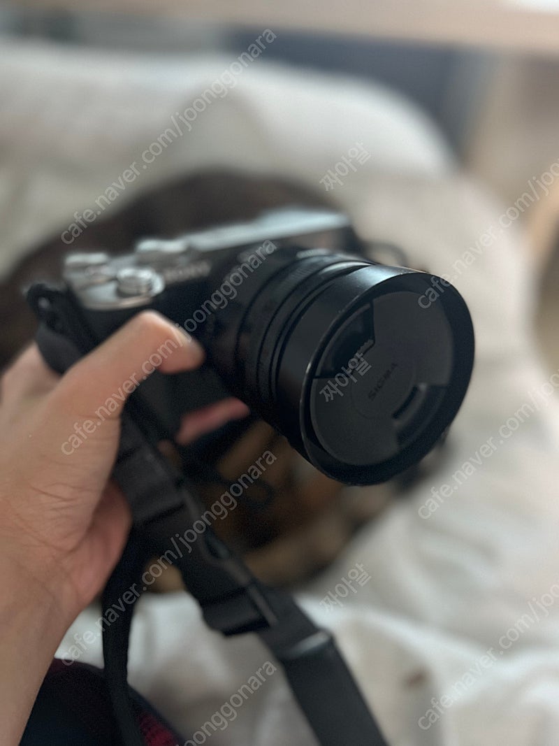 보이그랜더 녹턴 40mm f1.2 E마운트(소니 전용)