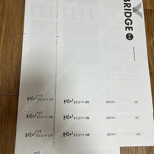 2025시대인재N 생명과학1 엑셀N,N서바,브릿지,브릿지 전국