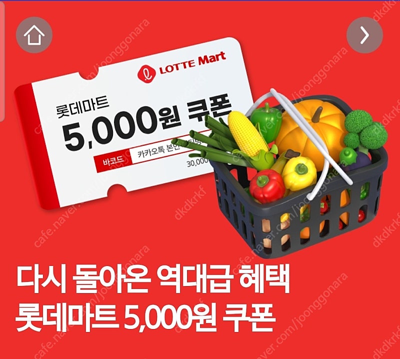 롯데마트 금액권 2만원 (5000원4장)