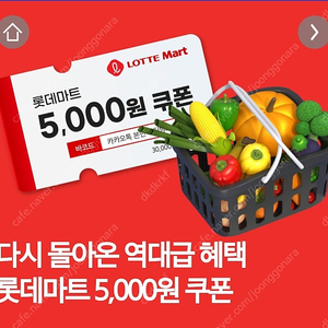 롯데마트 금액권 2만원 (5000원4장)