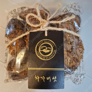 차가버섯100g