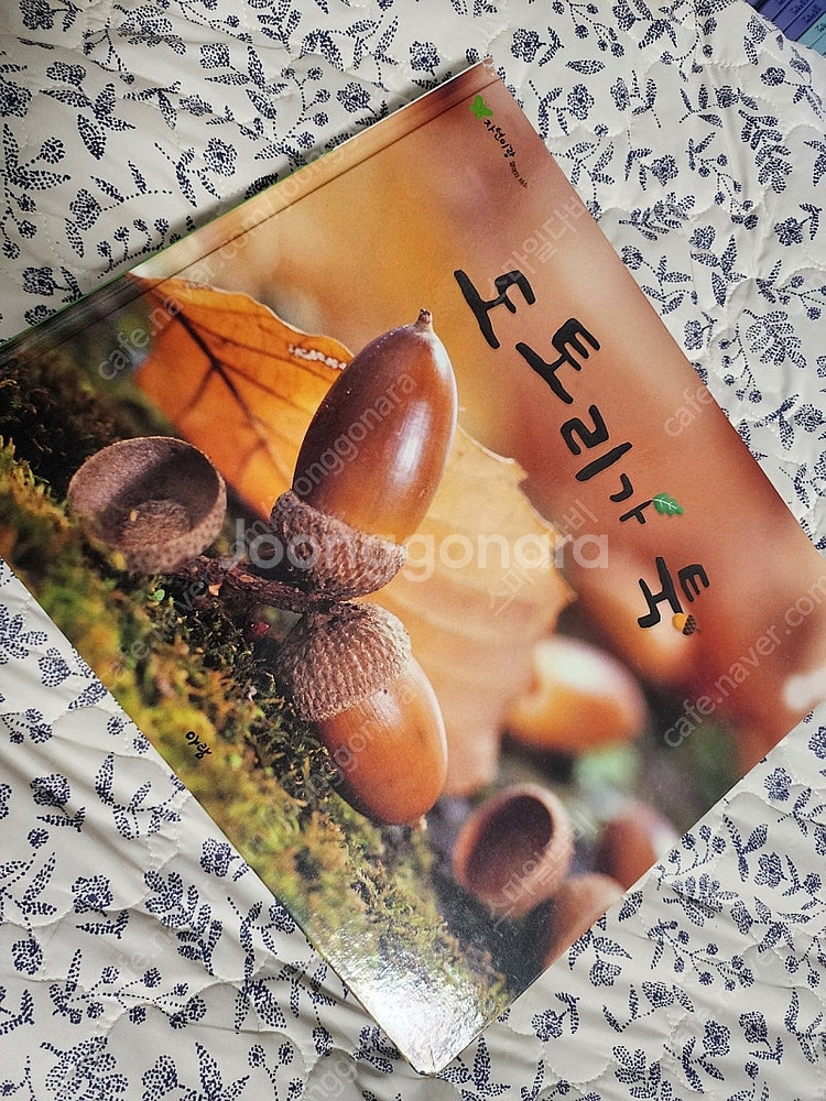 아람 자연이랑 전권 80권 모두--6