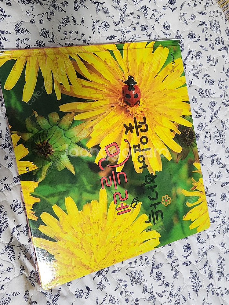 아람 자연이랑 전권 80권 모두--8