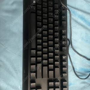 Razer BlackWidow V3 TKL 그린 (녹축) 게이밍키보드