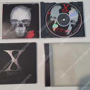 X-JAPAN 엑스재팬 ART OF LIFE 아트오브라이프 한정본 팝니다