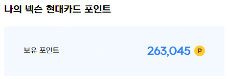 판매) 넥슨현대카드 포인트 263,000원