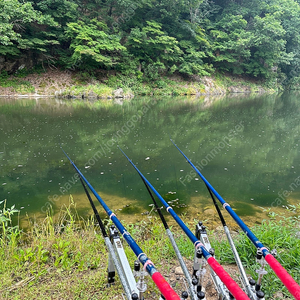 우경 받침틀 5단 삽니다