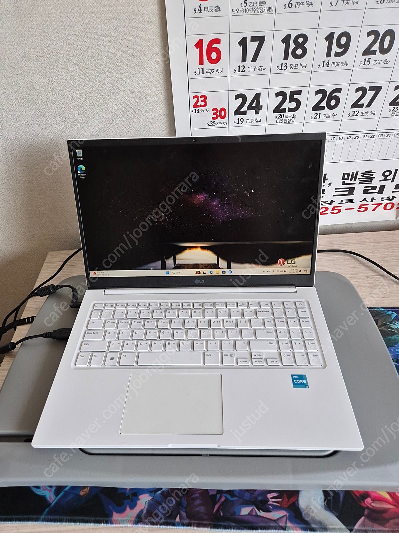 LG전자 울트라PC 15UD40R-GX56K