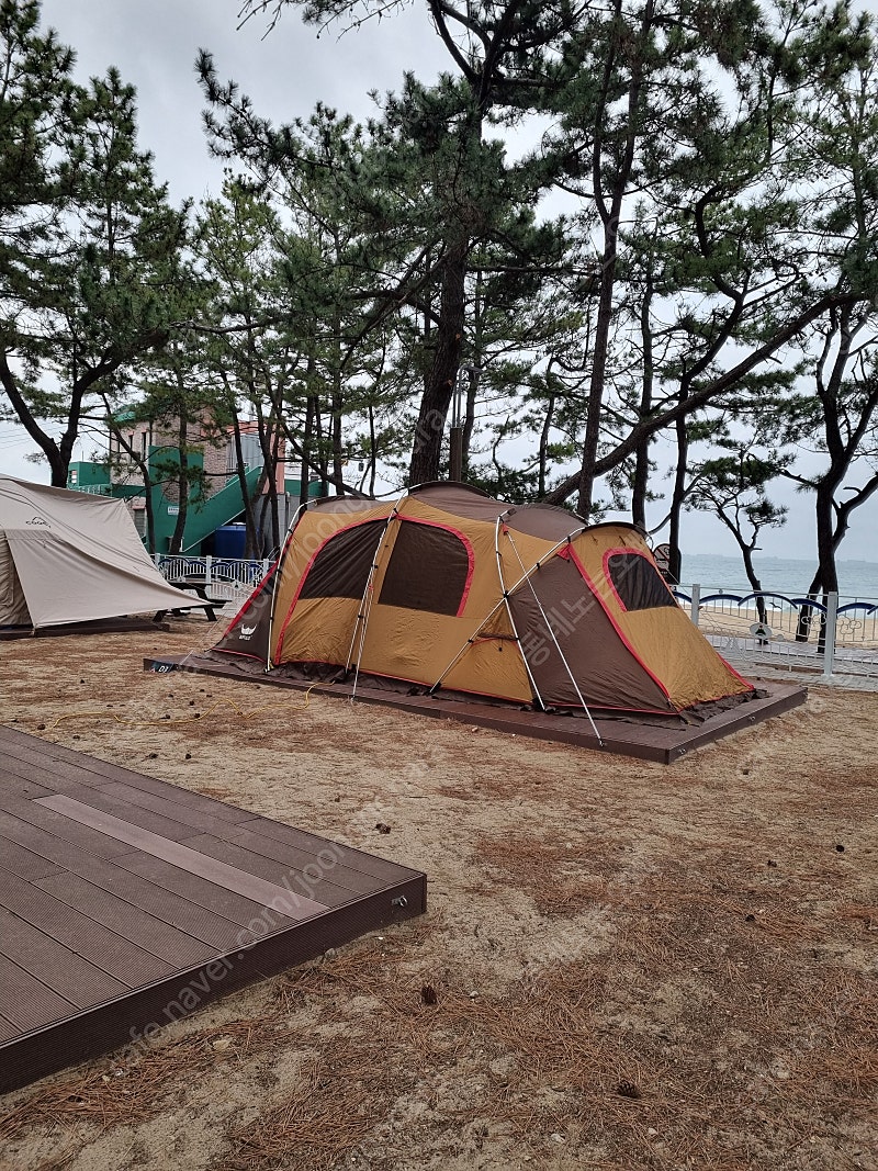 부산 버팔로 뉴그레이트라운지 텐트