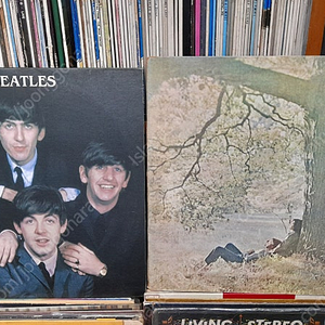 LP SADE 샤데이,BEATLES 비틀즈,진추하,Metallica 메탈리카,DIRE STRAITS,디즈니,모나코,대학가요제