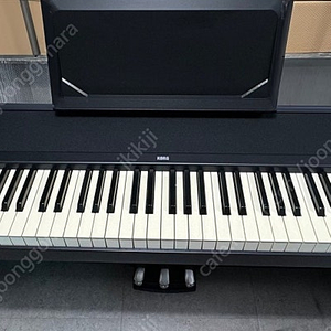 코르그 B1 전자피아노 KORG B 1 목재스탠드 3페달 서스테인 포함판매