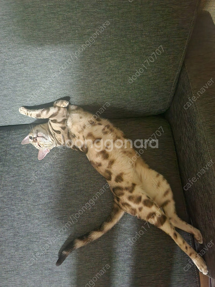 변우석 팬미팅 티켓 구해요--0