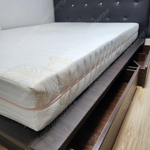 퀸사이즈 침대 무료나눔 김포 구래동