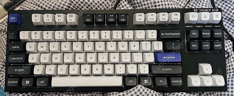 리얼포스 R2 텐키리스 RGB TKL 십자스템 키크론 KSA 키캡 포함