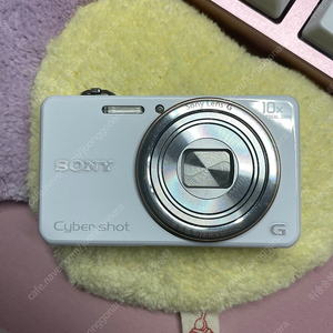 소니 dsc wx100