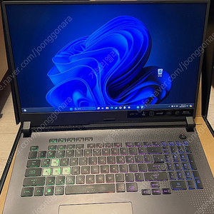 ASUS 로그스트릭스 G713RM 16인치