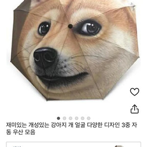 개성있는 강아지 우산 팝니다