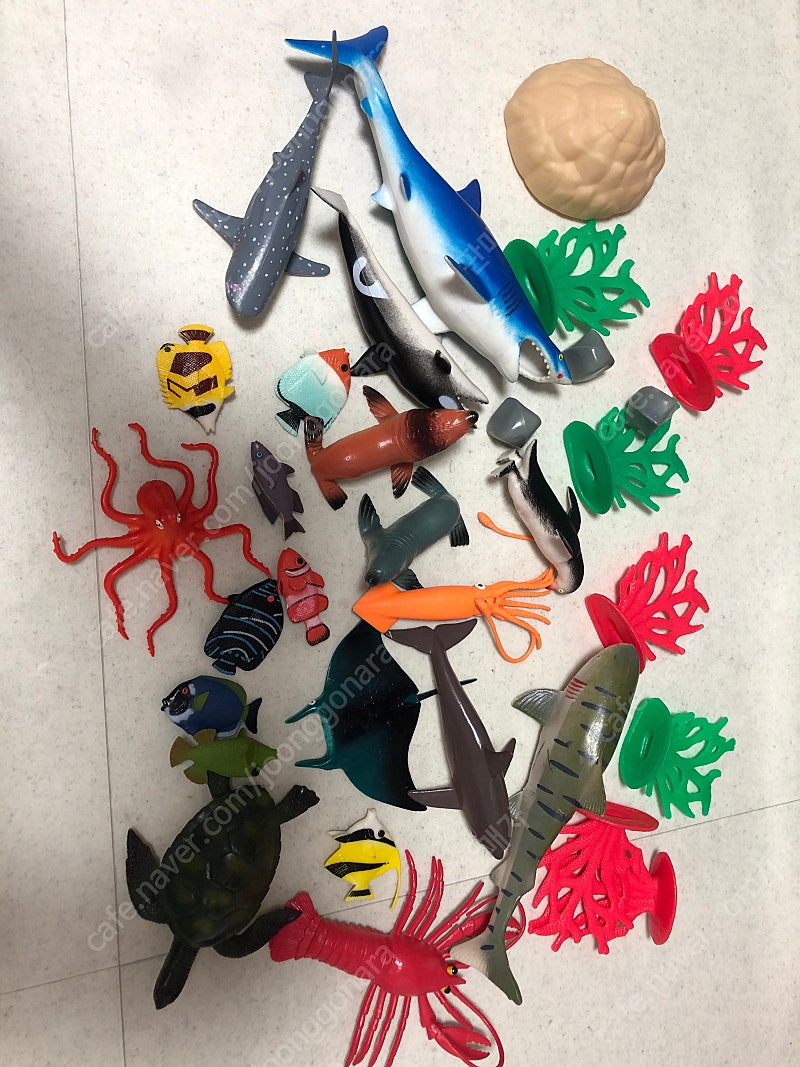 곤충모형 바다생물모형 공룡모형 장난감