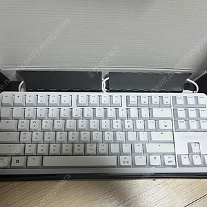 체리 Cherry g80-3000 TKL RGB 화이트 청축