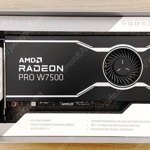 AMD 라데온 PRO W7500 D6 8GB 팝니다