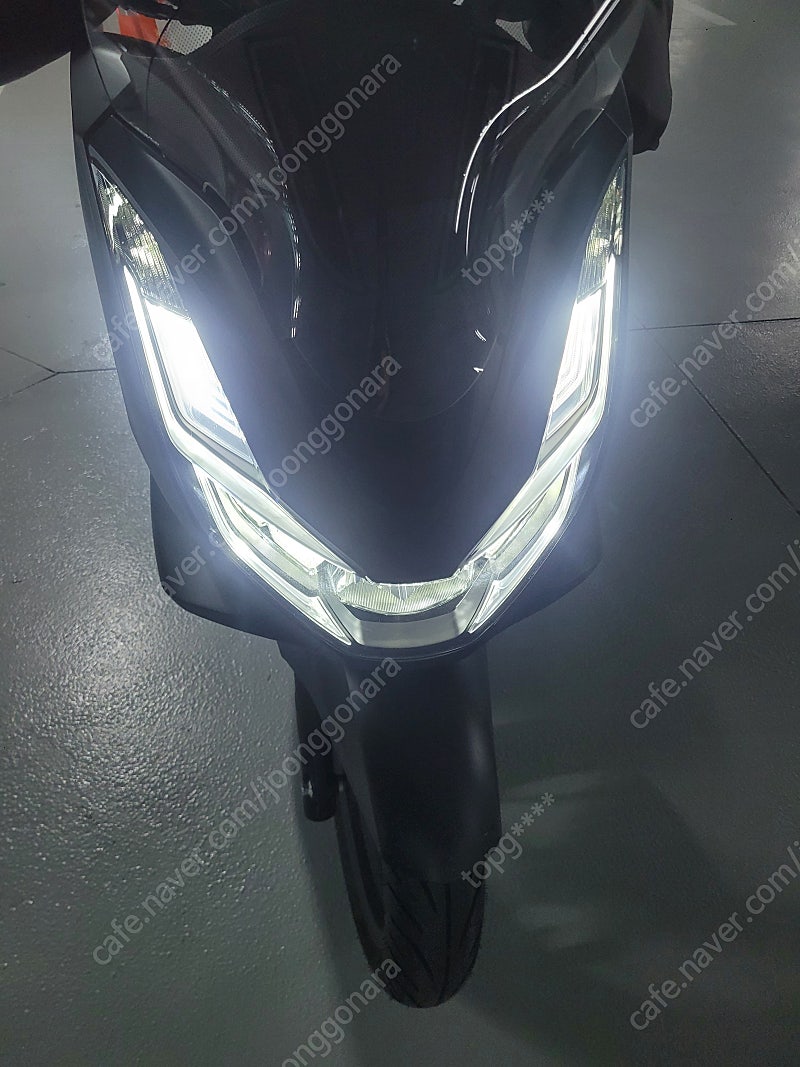 pcx125 24년식