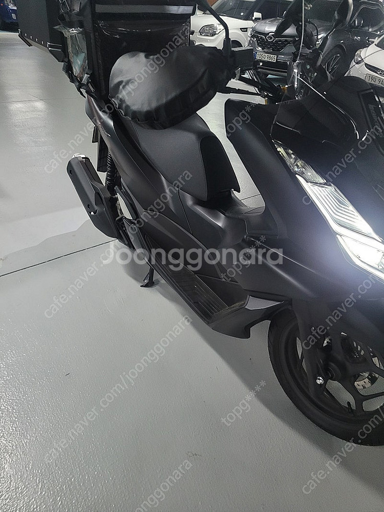 pcx125 24년식--1