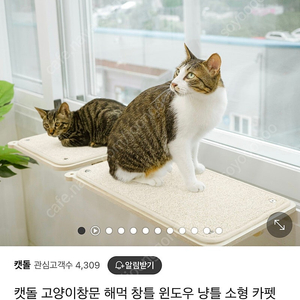 캣돌 고양이창문 해먹 창틀 윈도우 냥틀