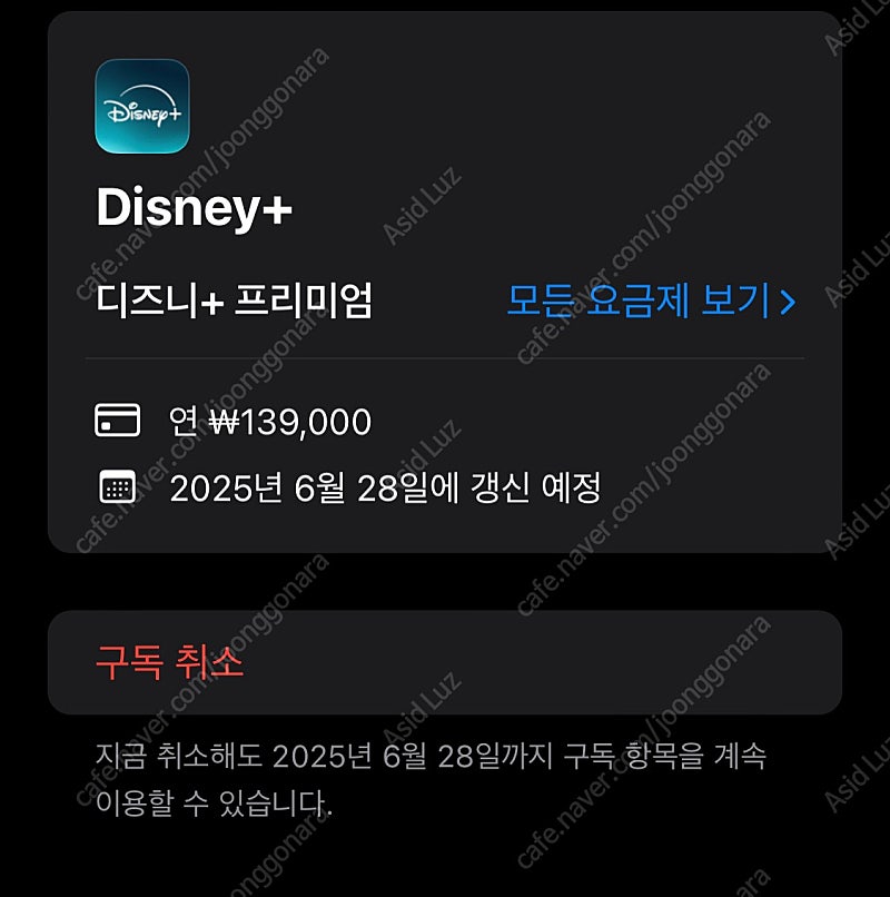 (개인) 디즈니 프리미엄 1년구독 계정 4인팟