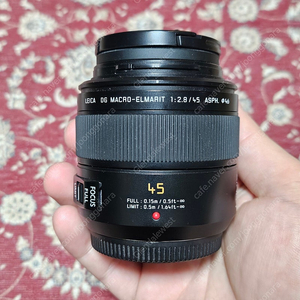 파나소닉 루믹스 라이카 45mm f2.8 마크로 접사 렌즈 (마포)